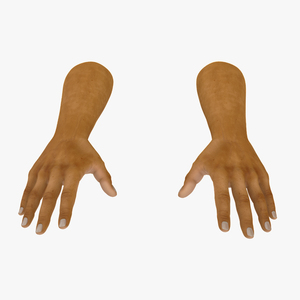 3D European Man Hands Base Pose model