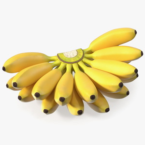 Yellow Banana Bunch 3D model