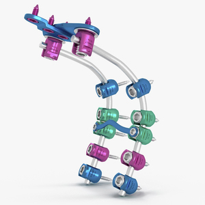 3D Posterior Cervical Spine Fixation System Colored model