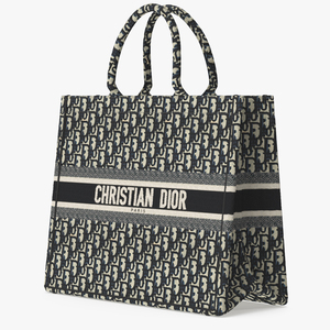 Christian Dior Book Tote Bag Ecru and Blue 3D