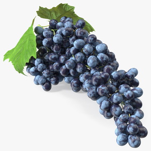 Sultana Blue Grape Cluster Lying 3D