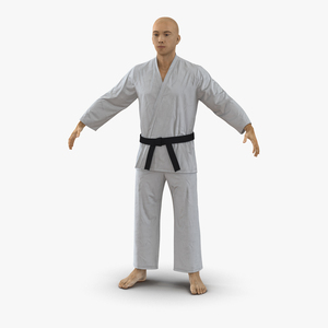 3D Japanese Karate Fighter model