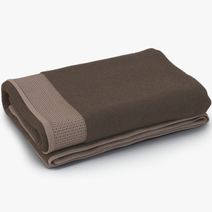 3D model Towel Brown with Fur