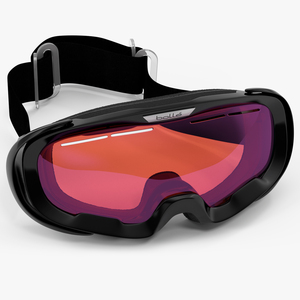 3D Shield Ski Goggles model