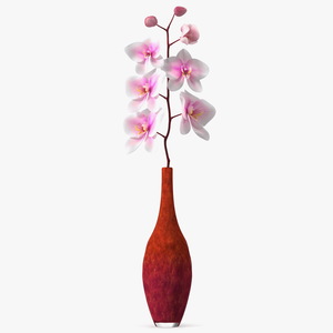 3D Glass Vase with Small Orchid Stem model