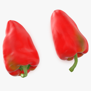 3D Red Long Pepper Bicolor model