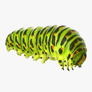 3D Caterpillar