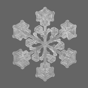 3D Intricate Snowflake Design