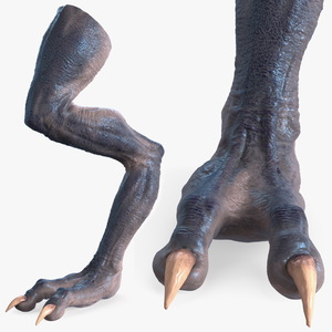 3D model Monster Creature Leg