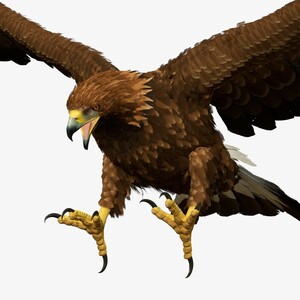 Realistic Golden Eagle Rigged 3D model