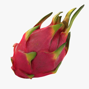 Whole Red Dragon Fruit 3D