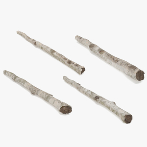 3D White Birch Poles Set