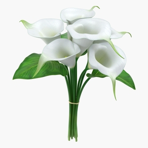 3D model Bouquet Calla Lilies