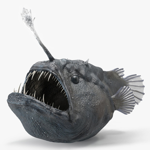 3D model Anglerfish