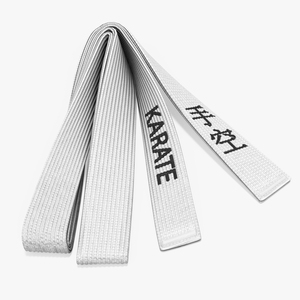 3D Karate White Belt Obi