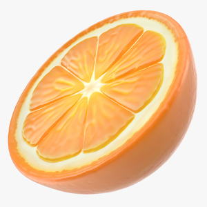 3D Half Fresh Orange Fruit model