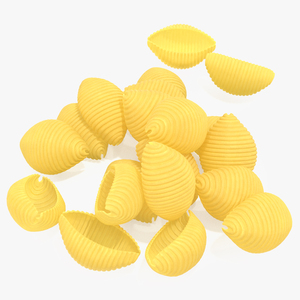 Shells Pasta 3D