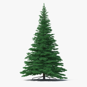 3D Woodland Pine model