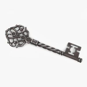 3D Fantasy Skeleton Key Steel