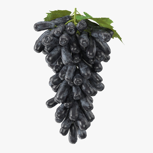 3D model Sweet Sapphire Grapes Wet with Leaf