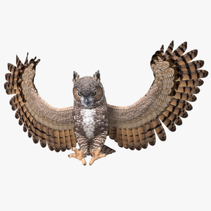 3D Great Horned Owl Rigged model