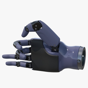 3D Right Dexterous Robot Hand Rigged model