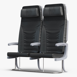 3D Passenger Aircraft Double Seats