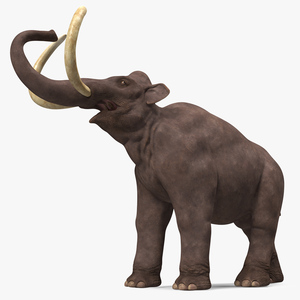 Mammoth Roar Pose 3D