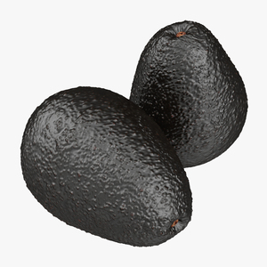 Avocado 2 3D model