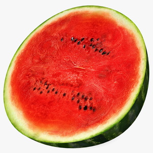 Half of Fresh Watermelon 3D model