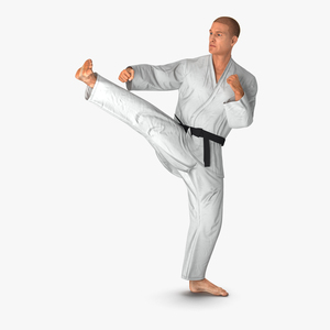 3D model Karate Fighter Pose 2 with Fur