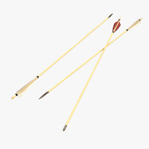 Bow Arrows Set 3D model