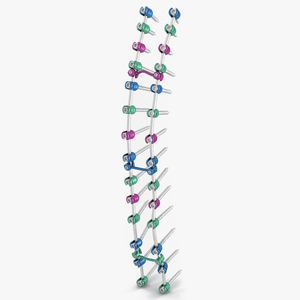 3D Thoracic Spine Fixation System Colored model