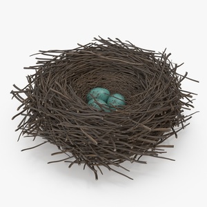 Bird Nest with Eggs 3D model