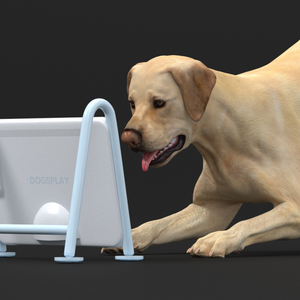 3D Dogsplay TV Video Device with Dog model