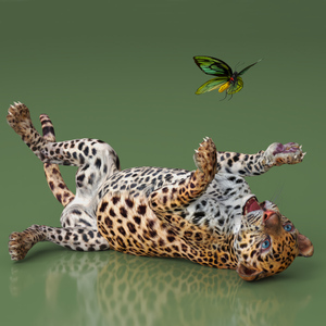 Playful Leopard Cub with Butterfly 3D model