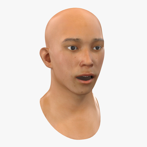 Asian Male Head Rigged 3D