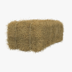 3D model Hay Bale