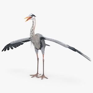 3D model Grey Heron