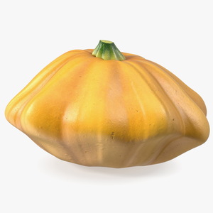 3D model Orange Color Bush Pumpkin