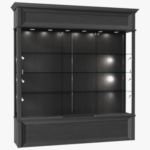 Trophy Display Case Black Illuminated 3D