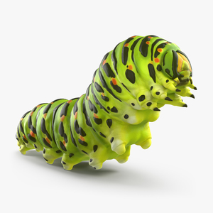 3D Caterpillar Rigged model