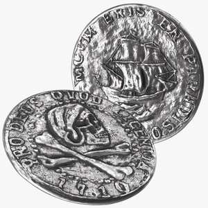 Treasure Pirate Coin Silver 3D