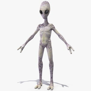 Humanoid Alien 3D model