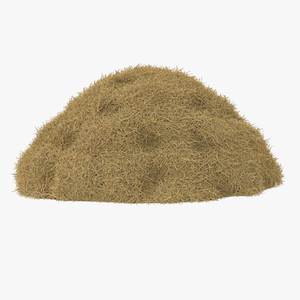 3D model Hay Pile 3