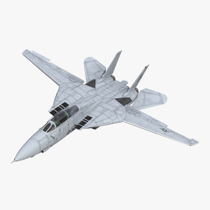 F 14 Tomcat US Combat Aircraft Rigged 3D