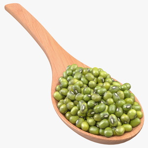 3D Mung Beans in Wooden Spoon