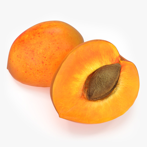 3D Half Apricot with Fruit Core model