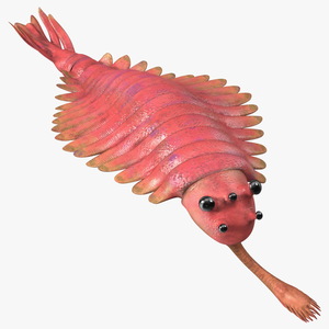 Pink Opabinia Swimming 3D