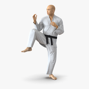 3D model Japanese Karate Fighter Pose 3